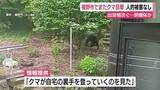「裾野市でまたクマ目撃　人的被害なし　出没相次ぐ…別個体か」の画像1