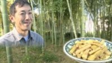 社会問題化する放置竹林　土砂災害を防ぐカギは”メンマ”にあり？　「おいしく食べて竹林整備」をモットーに