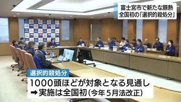 また豚熱の感染確認…静岡県内で2026年に入り3例目　全国で初めて「選択的殺処分」実施へ　1200頭のうち1000頭ほどが対象か