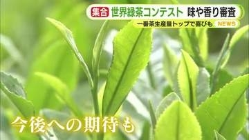 世界の緑茶が一堂に　コンテスト開催　静岡の一番茶生産量トップで喜びも 　味や香りを審査