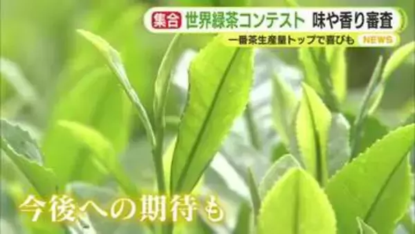 世界の緑茶が一堂に　コンテスト開催　静岡の一番茶生産量トップで喜びも 　味や香りを審査