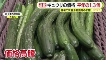 キュウリの価格　平年の1.3倍　猛暑の影響や物価高の影響　消費者「ちょっと高い」嘆きの声　生産者は徹底した対策