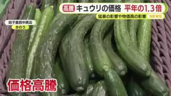 キュウリの価格　平年の1.3倍　猛暑の影響や物価高の影響　消費者「ちょっと高い」嘆きの声　生産者は徹底した対策