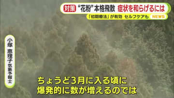 スギ花粉が本格飛散　例年とは異なる特徴「飛散を感じてから症状が強くなるまでの時間が短い」　初期療法が有効　セルフケアの実践も