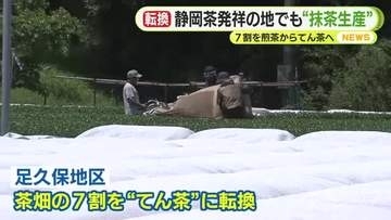 7割を煎茶から碾茶に転換　“静岡茶発祥の地”で抹茶生産　世界的なブームに伴う需要の高まりを受け