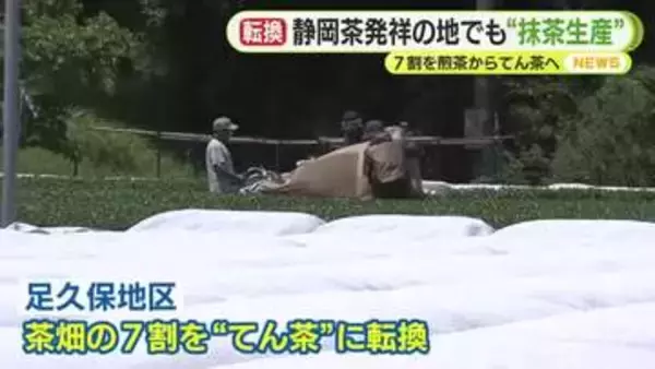 7割を煎茶から碾茶に転換　“静岡茶発祥の地”で抹茶生産　世界的なブームに伴う需要の高まりを受け