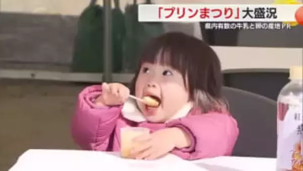 県内有数の牛乳と卵の生産地をPR　「プリンまつり」大盛況　地元の店自慢の55種類が登場