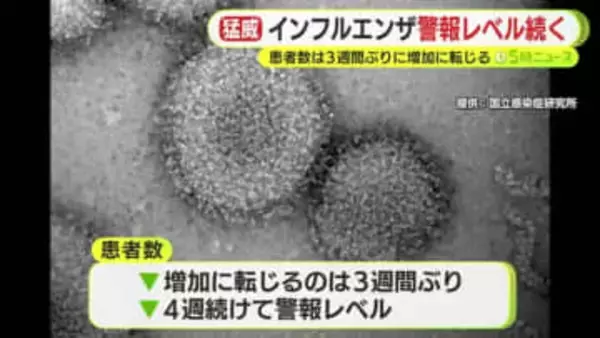 インフルエンザ警報レベル続く　患者数は3週間ぶりに増加に転じる