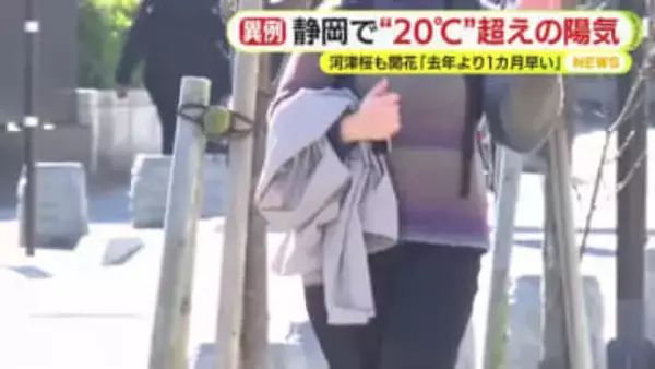 静岡で20℃超の陽気　河津桜も開花「去年より1カ月早い」　来週からは再び強い寒気で体調管理に注意