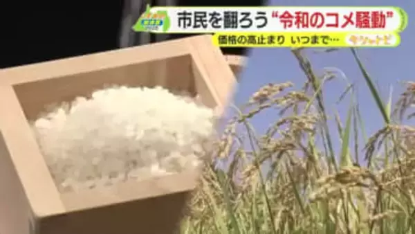 国民を翻弄し続ける”令和の米騒動”　米価の高止まりはいつまで？【しずおか総決算2025】
