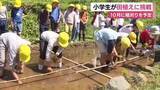 「小学生が田植えに挑戦　10月に稲刈りを予定」の画像1