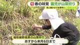 「春の味覚　園児が山菜狩り　雨と暖かさで生育早く」の画像1