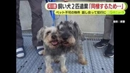 飼い犬2匹を安倍川に遺棄「同棲のために2人で話し合って…」 男のアパートはペット不可の物件　体内チップで飼い主の女が判明　交際関係の30代男女を書類送検　静岡南警察署