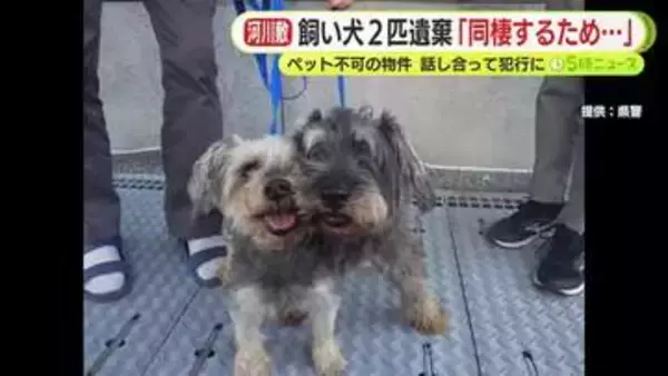 飼い犬2匹を安倍川に遺棄「同棲のために2人で話し合って…」 男のアパートはペット不可の物件　体内チップで飼い主の女が判明　交際関係の30代男女を書類送検　静岡南警察署
