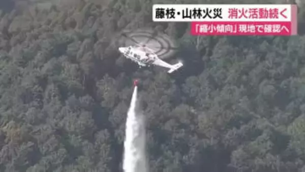 鎮火に至らずも火勢は縮小傾向　藤枝の山林火災　地上部隊が現場を確認へ