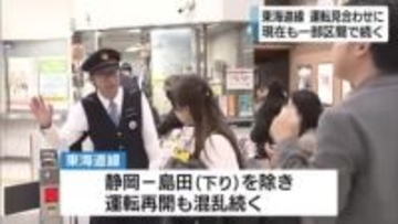 パンタグラフに不具合か　東海道線の広い区間で4時間超の運転見合わせ