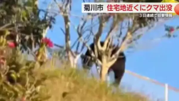 目撃相次ぐ静岡の“クマ”　菊川市の住宅地でその姿が撮影される　３日連続で目撃され市も注意を呼びかけ