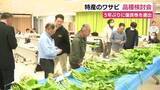 「伊豆南部の特産・ワサビの品種検討会　5年ぶりに優良株を選出」の画像1