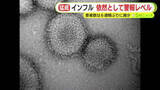 「インフルエンザが依然として猛威　患者数が6週間ぶりに減少も警報レベル続く　県「今後1週間から2週間程度減少が続けば収束に向かう」」の画像1
