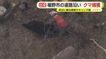富士山の麓でクマを捕獲　箱わなにかかった1頭を駆除　付近には観光施設やキャンプ場　目撃が相次いでいた個体か