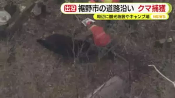 富士山の麓でクマを捕獲　箱わなにかかった1頭を駆除　付近には観光施設やキャンプ場　目撃が相次いでいた個体か