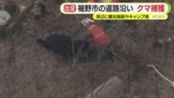 富士山の麓でクマを捕獲　箱わなにかかった1頭を駆除　付近には観光施設やキャンプ場　目撃が相次いでいた個体か