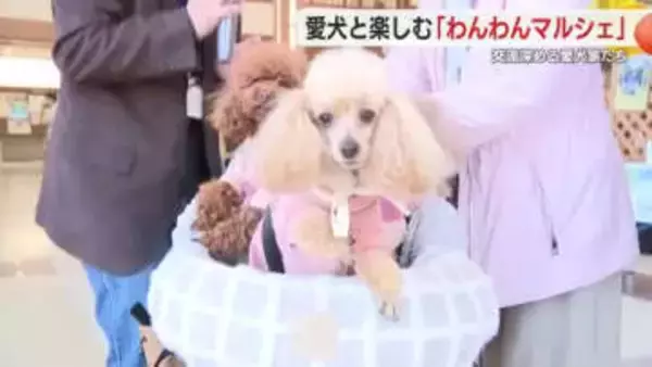 伊豆高原で「わんわんマルシェ」愛犬家集合　おやつや洋服などイヌ関連商品販売　足型を押すコーナーも