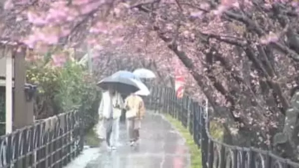 実にクリスマス以来…48日ぶりにまとまった雨　恵みの雨？悪天候でイベントは？　悲喜こもごも