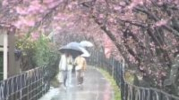 実にクリスマス以来…48日ぶりにまとまった雨　恵みの雨？悪天候でイベントは？　悲喜こもごも