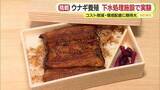 「ウナギの名産・浜松で新たな挑戦　養殖業に光明か　下水処理施設で実験　コスト削減・環境配慮で大きな期待」の画像1