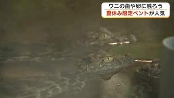 ワニの卵に触れたり大きな蓮の葉に乗ったり　熱川バナナワニ園の夏休みイベントで大人も子供も笑顔に