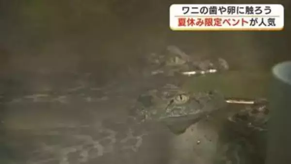 ワニの卵に触れたり大きな蓮の葉に乗ったり　熱川バナナワニ園の夏休みイベントで大人も子供も笑顔に