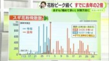 花粉飛散のピーク続く　飛散数はすでに去年の2倍　あす5日も「極めて多い」予想　【静岡・ただいま天気】