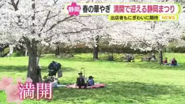 静岡県内は各地でサクラ満開！川根路彩る緑とピンク「パーシー」号との“コラボ”も