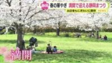 静岡県内は各地でサクラ満開！川根路彩る緑とピンク「パーシー」号との“コラボ”も