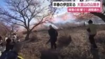 「すごい迫力！」早春の伊豆を彩る“大室山の山焼き”　積雪の影響で1週間遅れに