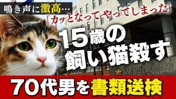 鳴き声に腹を立て「ネコ殺しちゃいました」　高齢ネコを蹴ったり、棒で殴ったり、床に叩きつけたりして殺した70代男　起訴を求める“厳重処分”の意見を付して書類送検　「カッとなって苛立ってやってしまった」