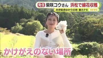 俳優の柴崎コウさんが浜松へ　綿花収穫と遠州織物の作業体験　井伊直虎ゆかりの地を訪問　「かけがえのない場所」浜松市はロケ地の賑わい創出へ