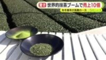 “秋冬番茶”異例の値上がり…取引価格は前年比6倍!? 一方で世界的抹茶ブーム　碾茶に切り替える農家も