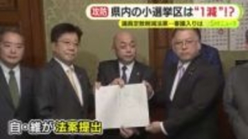 静岡はどう変わる？　衆議院の議員定数削減法案　静岡は2区と3区が1つに？　専門家がシミュレーション