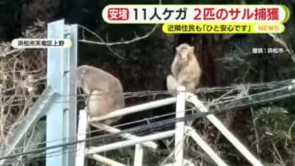 親子と見られる”噛みつきザル”　2匹とも捕獲に成功し駆除へ　11人がケガ…骨折をした人も　近隣住民「ひと安心です」