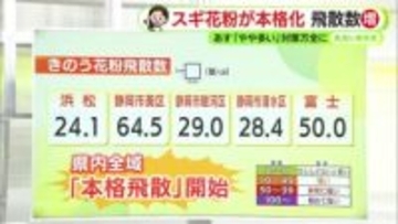 花粉は静岡県内各地で「本格飛散　非常に強い症状が出るレベルに　対策を　【静岡・ただいま天気　2/17】