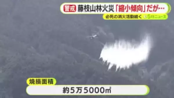 藤枝の山林火災は”縮小傾向”も下草などへの延焼続き再び拡大するおそれも　必死の消火活動続く