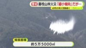 藤枝の山林火災は”縮小傾向”も下草などへの延焼続き再び拡大するおそれも　必死の消火活動続く
