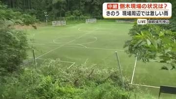 【中継】「バリバリという音と共に木が倒れ」サッカー場で倒木…7人を救急搬送　前日夕方からの雨に周辺住民から土砂崩れなどを心配する声も