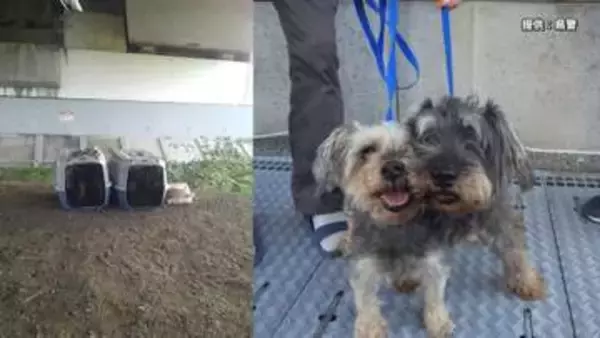 安倍川に遺棄された犬2匹　里親とつなぐ仲介者の元へ　7月15日に静岡市の保護施設から引き取られる　ペット不可アパート「同棲するために遺棄…」警察が30代カップルを書類送検