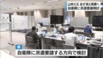 藤枝で山林火災延焼中　他県のヘリ応援も　静岡県は自衛隊に派遣要請する方向で検討