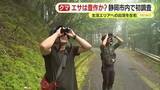 「クマの行動に大きな影響　エサとなる木の実は豊作か？不作か？　静岡県が初の実態調査　10月上旬頃までに結果をホームページで公表する考え」の画像1