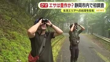 クマの行動に大きな影響　エサとなる木の実は豊作か？不作か？　静岡県が初の実態調査　10月上旬頃までに結果をホームページで公表する考え
