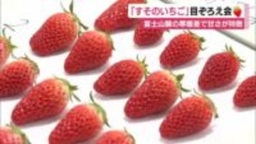 「3品種を食べ比べて」富士山麓の寒暖差で甘さが特徴“すそのいちご”の目ぞろえ会